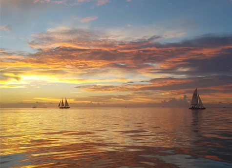 Sailboats During the Sunset